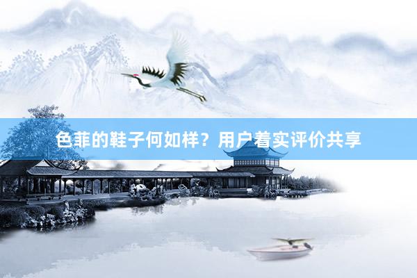色菲的鞋子何如样？用户着实评价共享