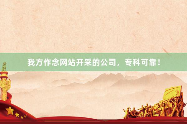 我方作念网站开采的公司，专科可靠！