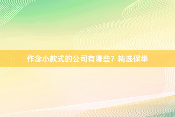 作念小款式的公司有哪些？精选保举