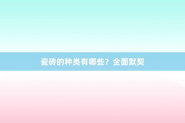 瓷砖的种类有哪些？全面默契