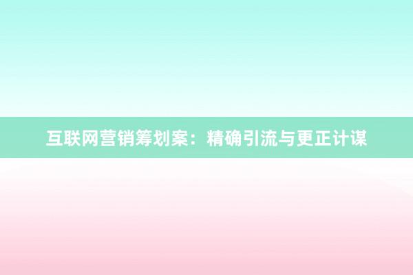 互联网营销筹划案：精确引流与更正计谋